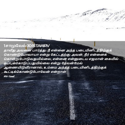 Picture 02 - 1 சாமுவேல் 30:15 TAMIRV - தாவீது அவனை - Bible Verse Picture