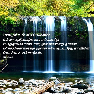 Picture 02 - 1 சாமுவேல் 30:20 TAMIRV - எல்லா - Bible Verse Picture