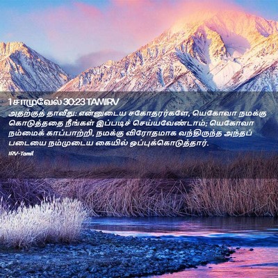 Picture 02 - 1 சாமுவேல் 30:23 TAMIRV - அதற்குத் தாவீது: - Bible Verse Picture