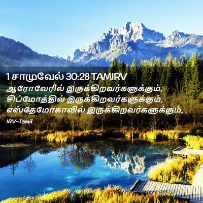 Picture 02 - 1 சாமுவேல் 30:28 TAMIRV - ஆரோவேரில் - Bible Verse Picture