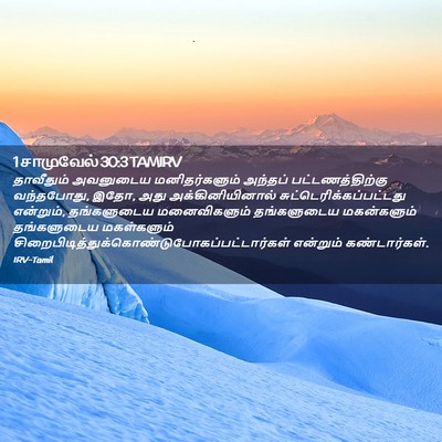 Picture 02 - 1 சாமுவேல் 30:3 TAMIRV - தாவீதும் அவனுடைய - Bible Verse Picture