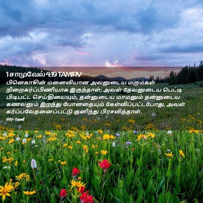 Picture 02 - 1 சாமுவேல் 4:19 TAMIRV - பினெகாசின் - Bible Verse Picture