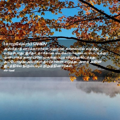 Picture 02 - 1 சாமுவேல் 5:3 TAMIRV - அஸ்தோத் - Bible Verse Picture