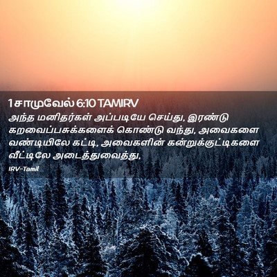 Picture 02 - 1 சாமுவேல் 6:10 TAMIRV - அந்த மனிதர்கள் - Bible Verse Picture