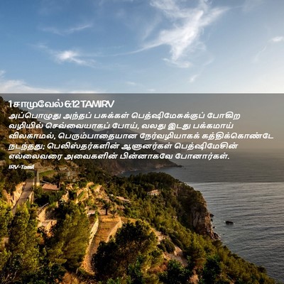 Picture 02 - 1 சாமுவேல் 6:12 TAMIRV - அப்பொழுது அந்தப் - Bible Verse Picture
