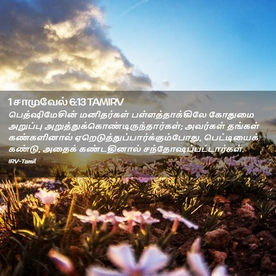 Picture 02 - 1 சாமுவேல் 6:13 TAMIRV - பெத்ஷிமேசின் - Bible Verse Picture