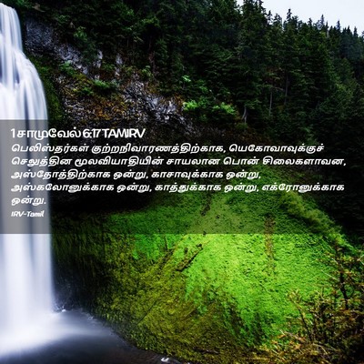 Picture 02 - 1 சாமுவேல் 6:17 TAMIRV - பெலிஸ்தர்கள் - Bible Verse Picture