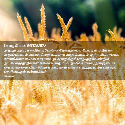 Picture 02 - 1 சாமுவேல் 6:3 TAMIRV - அதற்கு அவர்கள்: - Bible Verse Picture