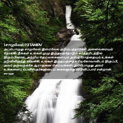 Picture 02 - 1 சாமுவேல் 7:3 TAMIRV - அப்பொழுது - Bible Verse Picture