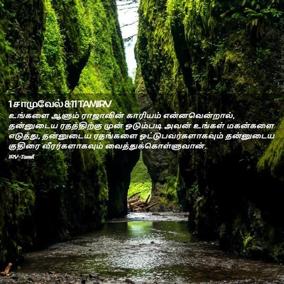 Picture 02 - 1 சாமுவேல் 8:11 TAMIRV - உங்களை ஆளும் - Bible Verse Picture