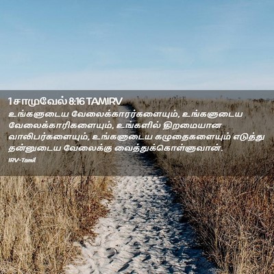 Picture 02 - 1 சாமுவேல் 8:16 TAMIRV - உங்களுடைய - Bible Verse Picture