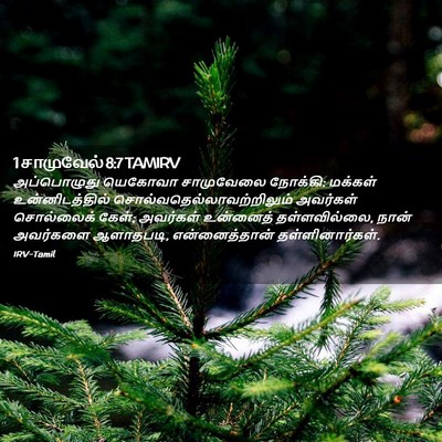 Picture 02 - 1 சாமுவேல் 8:7 TAMIRV - அப்பொழுது யெகோவா - Bible Verse Picture