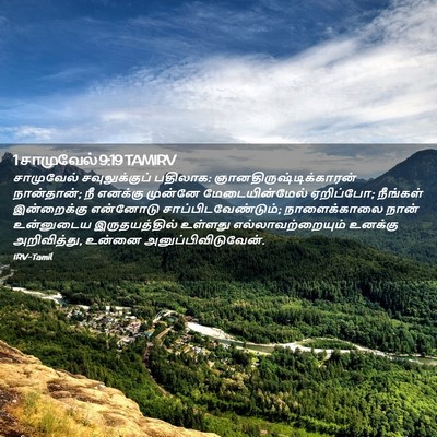 Picture 02 - 1 சாமுவேல் 9:19 TAMIRV - சாமுவேல் - Bible Verse Picture