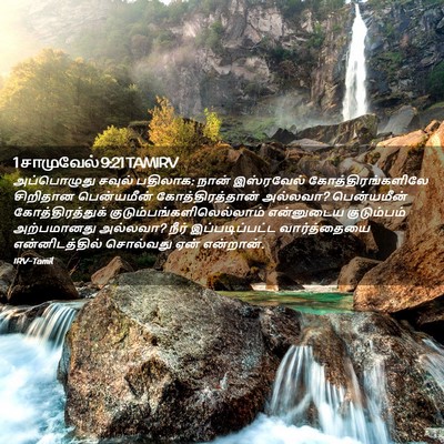 Picture 02 - 1 சாமுவேல் 9:21 TAMIRV - அப்பொழுது சவுல் - Bible Verse Picture