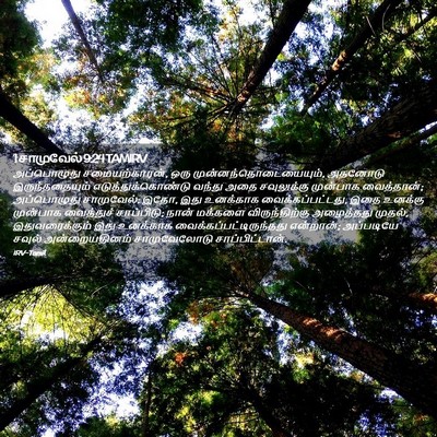 Picture 02 - 1 சாமுவேல் 9:24 TAMIRV - அப்பொழுது - Bible Verse Picture