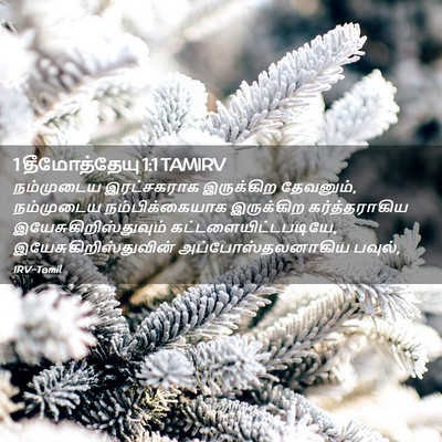 Picture 02 - 1 தீமோத்தேயு 1:1 TAMIRV - நம்முடைய - Bible Verse Picture
