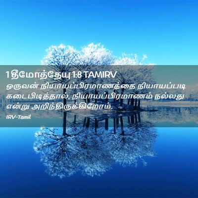 Picture 02 - 1 தீமோத்தேயு 1:8 TAMIRV - ஒருவன் - Bible Verse Picture