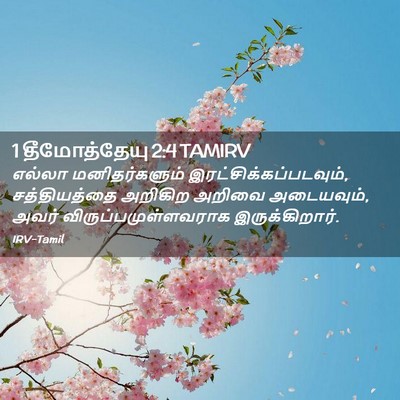 Picture 02 - 1 தீமோத்தேயு 2:4 TAMIRV - எல்லா மனிதர்களும் - Bible Verse Picture