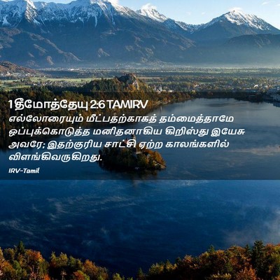 Picture 02 - 1 தீமோத்தேயு 2:6 TAMIRV - எல்லோரையும் - Bible Verse Picture
