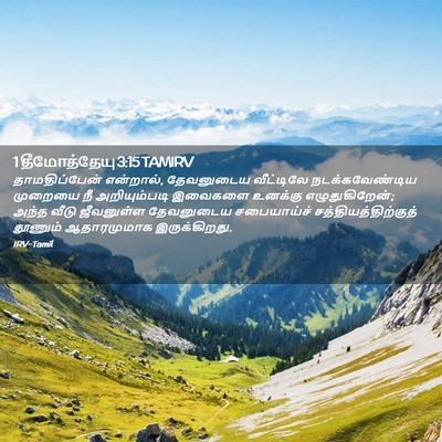 Picture 02 - 1 தீமோத்தேயு 3:15 TAMIRV - தாமதிப்பேன் - Bible Verse Picture
