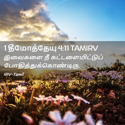Picture 02 - 1 தீமோத்தேயு 4:11 TAMIRV - இவைகளை நீ - Bible Verse Picture