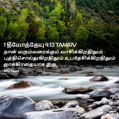 Picture 02 - 1 தீமோத்தேயு 4:13 TAMIRV - நான் - Bible Verse Picture