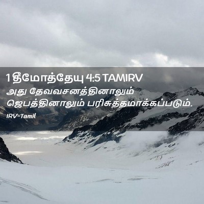 Picture 02 - 1 தீமோத்தேயு 4:5 TAMIRV - அது - Bible Verse Picture