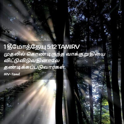 Picture 02 - 1 தீமோத்தேயு 5:12 TAMIRV - முதலில் - Bible Verse Picture
