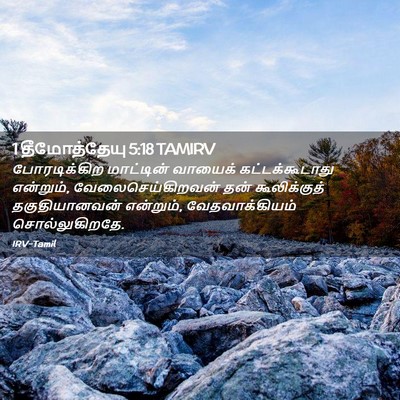 Picture 02 - 1 தீமோத்தேயு 5:18 TAMIRV - போரடிக்கிற - Bible Verse Picture