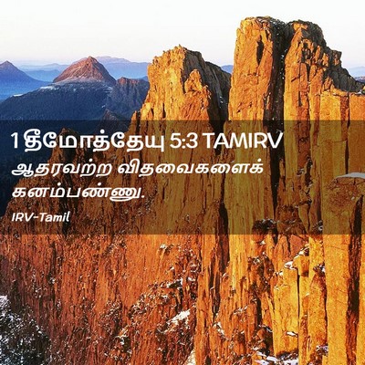 Picture 02 - 1 தீமோத்தேயு 5:3 TAMIRV - ஆதரவற்ற - Bible Verse Picture