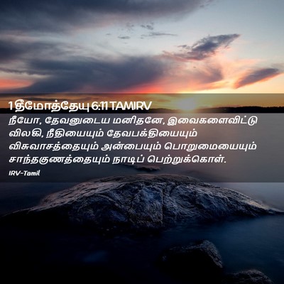 Picture 02 - 1 தீமோத்தேயு 6:11 TAMIRV - நீயோ, தேவனுடைய - Bible Verse Picture