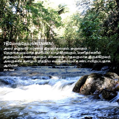 Picture 02 - 1 தீமோத்தேயு 6:16 TAMIRV - அவர் ஒருவரே மரணம் - Bible Verse Picture