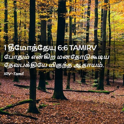 Picture 02 - 1 தீமோத்தேயு 6:6 TAMIRV - போதும் என்கிற - Bible Verse Picture
