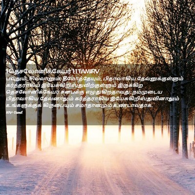 Picture 02 - 1 தெசலோனிக்கேயர் 1:1 TAMIRV - பவுலும், - Bible Verse Picture