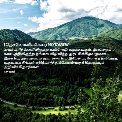 Picture 02 - 1 தெசலோனிக்கேயர் 1:10 TAMIRV - அவர் - Bible Verse Picture