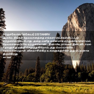 Picture 02 - 1 தெசலோனிக்கேயர் 2:13 TAMIRV - ஆகவே, நீங்கள் - Bible Verse Picture