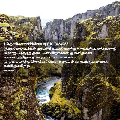 Picture 02 - 1 தெசலோனிக்கேயர் 2:16 TAMIRV - யூதரல்லாதவர்கள் - Bible Verse Picture