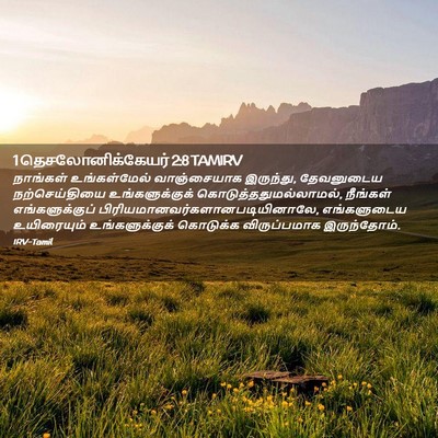 Picture 02 - 1 தெசலோனிக்கேயர் 2:8 TAMIRV - நாங்கள் - Bible Verse Picture