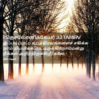 Picture 02 - 1 தெசலோனிக்கேயர் 3:3 TAMIRV - இப்படிப்பட்ட - Bible Verse Picture