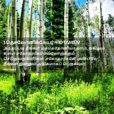 Picture 02 - 1 தெசலோனிக்கேயர் 4:10 TAMIRV - அந்தப்படி நீங்கள் - Bible Verse Picture