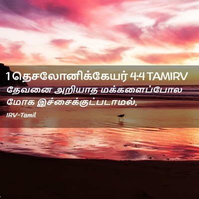 Picture 02 - 1 தெசலோனிக்கேயர் 4:4 TAMIRV - தேவனை அறியாத - Bible Verse Picture