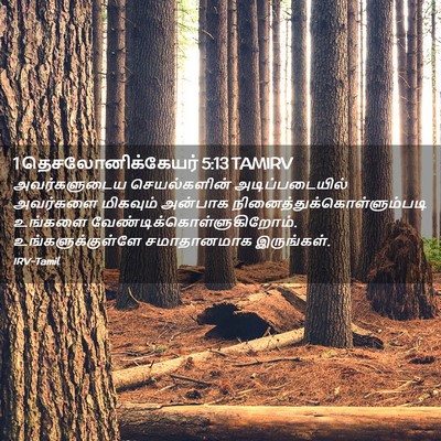 Picture 02 - 1 தெசலோனிக்கேயர் 5:13 TAMIRV - அவர்களுடைய - Bible Verse Picture