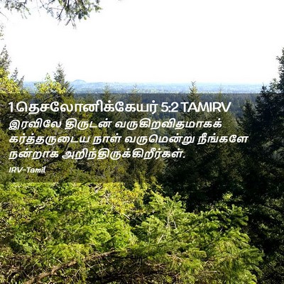 Picture 02 - 1 தெசலோனிக்கேயர் 5:2 TAMIRV - இரவிலே திருடன் - Bible Verse Picture