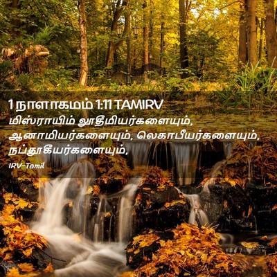 Picture 02 - 1 நாளாகமம் 1:11 TAMIRV - மிஸ்ராயிம் - Bible Verse Picture