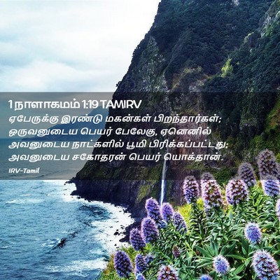 Picture 02 - 1 நாளாகமம் 1:19 TAMIRV - ஏபேருக்கு இரண்டு - Bible Verse Picture