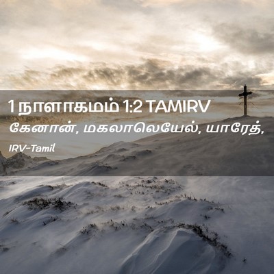 Picture 02 - 1 நாளாகமம் 1:2 TAMIRV - கேனான், - Bible Verse Picture