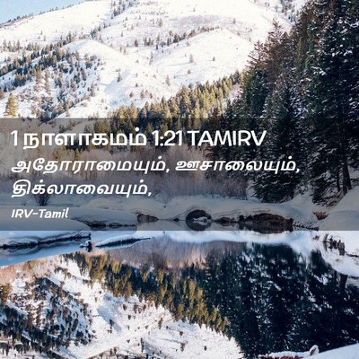 Picture 02 - 1 நாளாகமம் 1:21 TAMIRV - அதோராமையும், - Bible Verse Picture