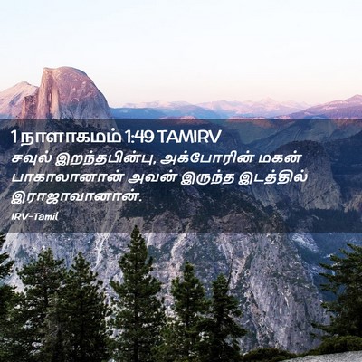 Picture 02 - 1 நாளாகமம் 1:49 TAMIRV - சவுல் - Bible Verse Picture
