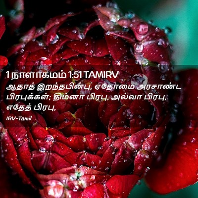Picture 02 - 1 நாளாகமம் 1:51 TAMIRV - ஆதாத் - Bible Verse Picture
