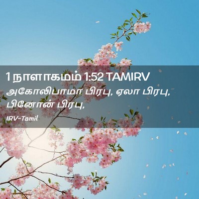Picture 02 - 1 நாளாகமம் 1:52 TAMIRV - அகோலிபாமா பிரபு, - Bible Verse Picture